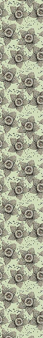 patterned-wallpaper-stapelia-flower