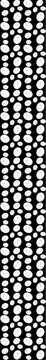 patterned-wallpaper-lady-madonna