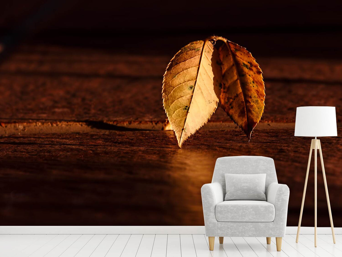 photo-wallpaper-the-leaf