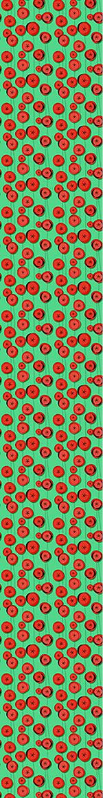 patterned-wallpaper-poppy-flowers-in-may