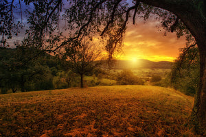 photo-wallpaper-a-landscape-in-the-sunset