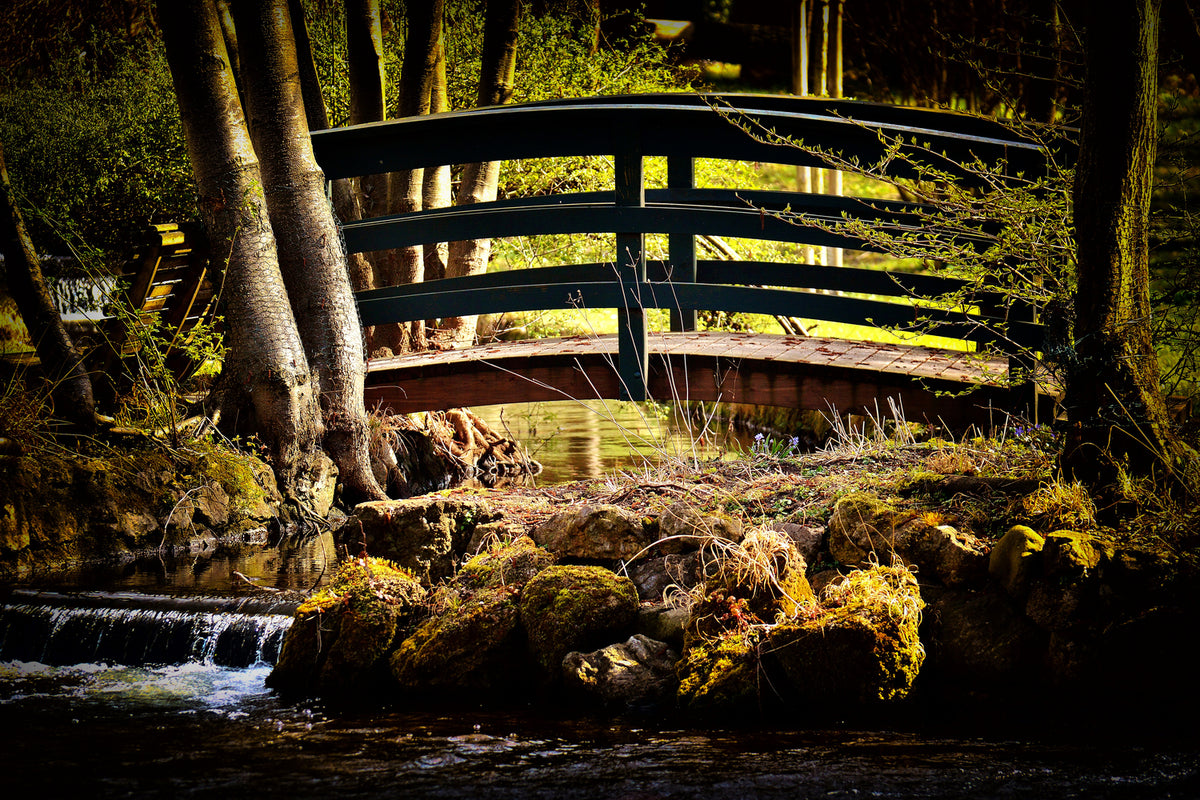 photo-wallpaper-wooden-bridge-in-the-forest