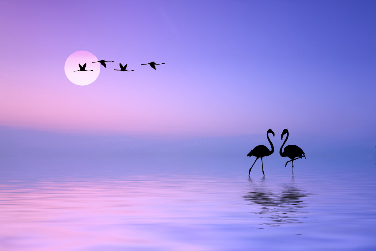 photo-wallpaper-flying-flamingo-x