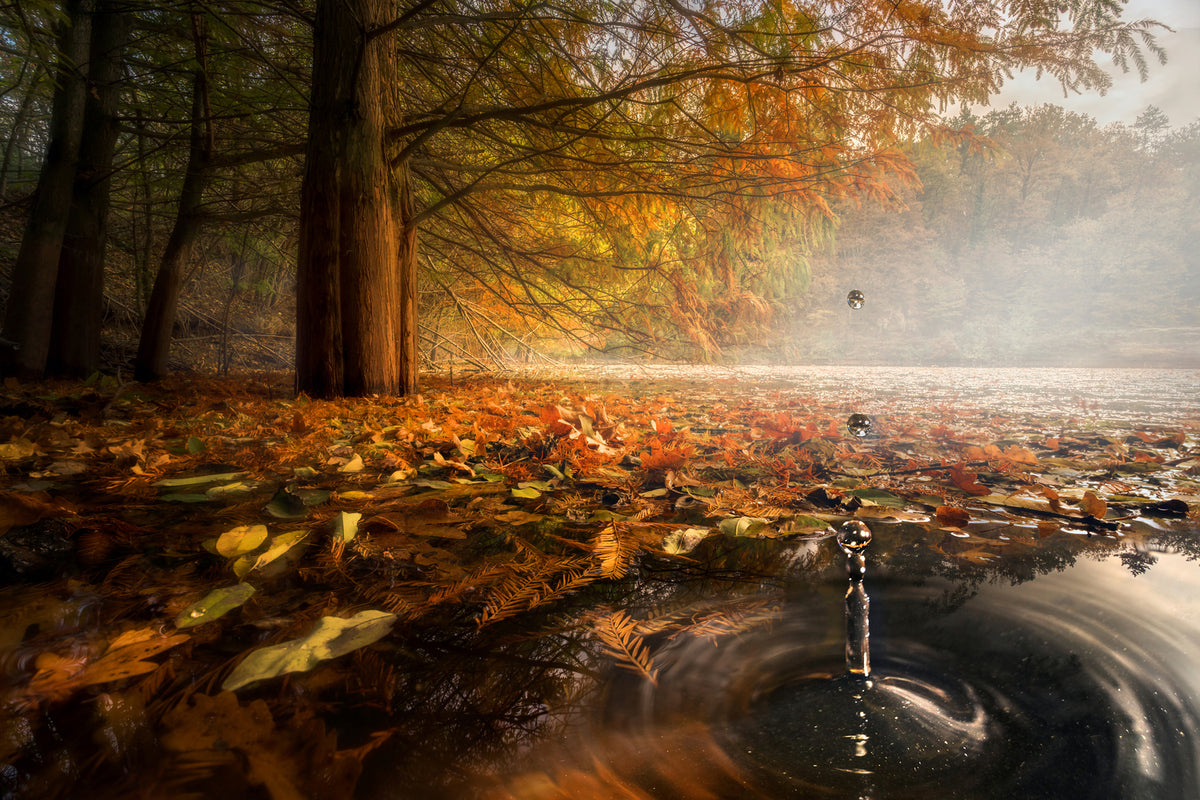 photo-wallpaper-drops-between-the-autumn-colors-x