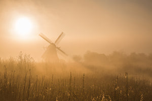 photo-wallpaper-golden-dawn-x