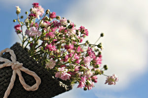 photo-wallpaper-the-gypsophila