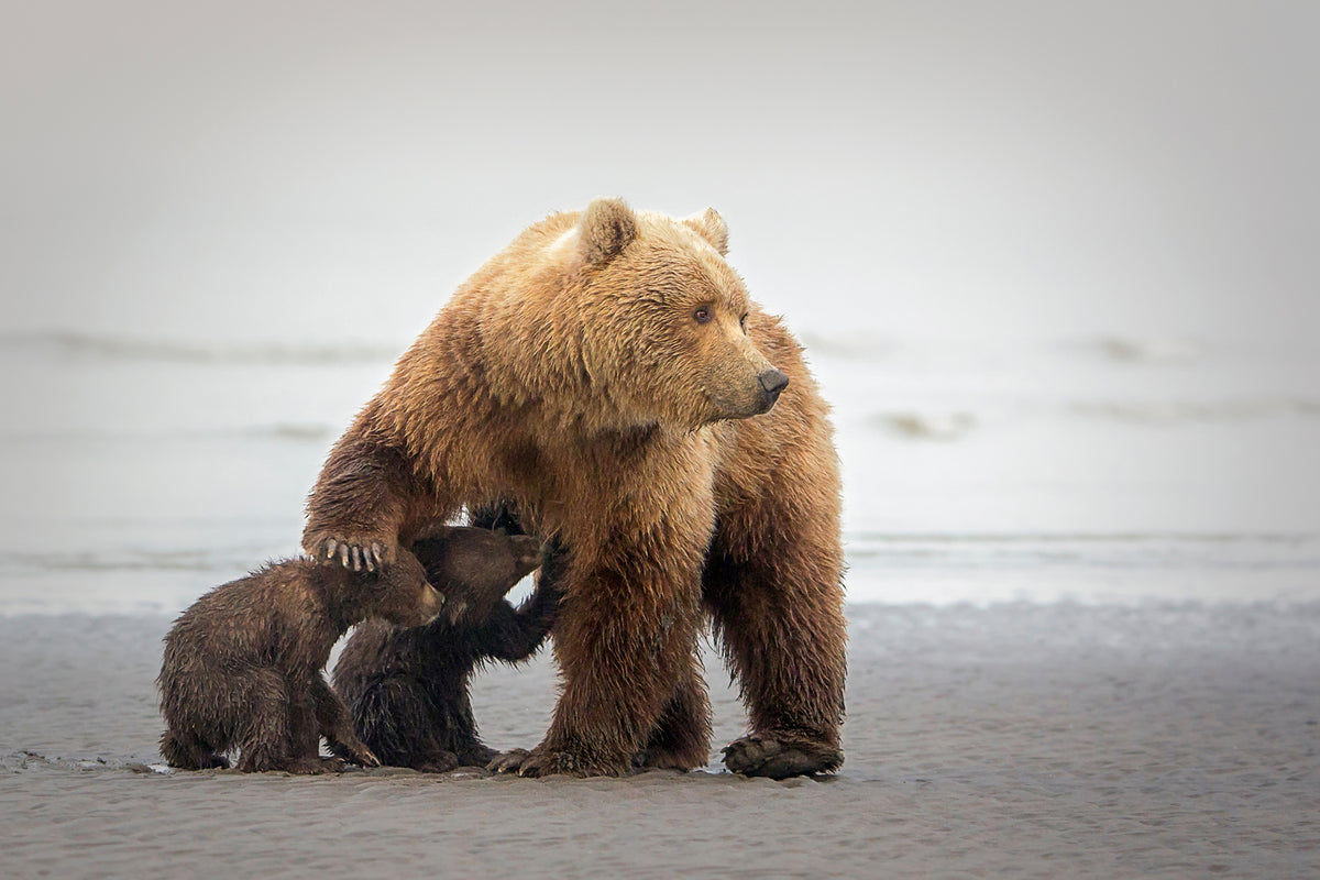 photo-wallpaper-family-time