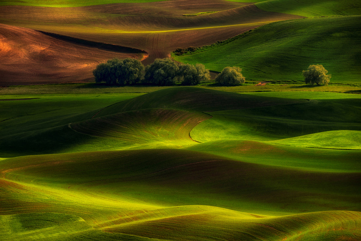 photo-wallpaper-spring-in-the-palouse