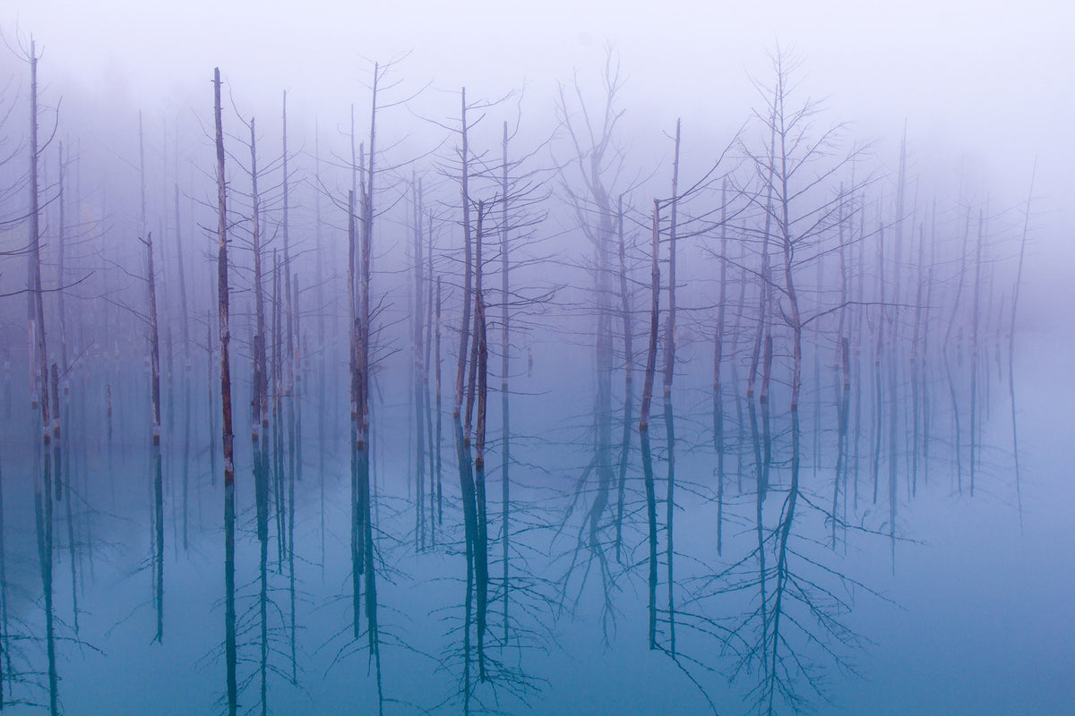 photo-wallpaper-misty-blue-pond