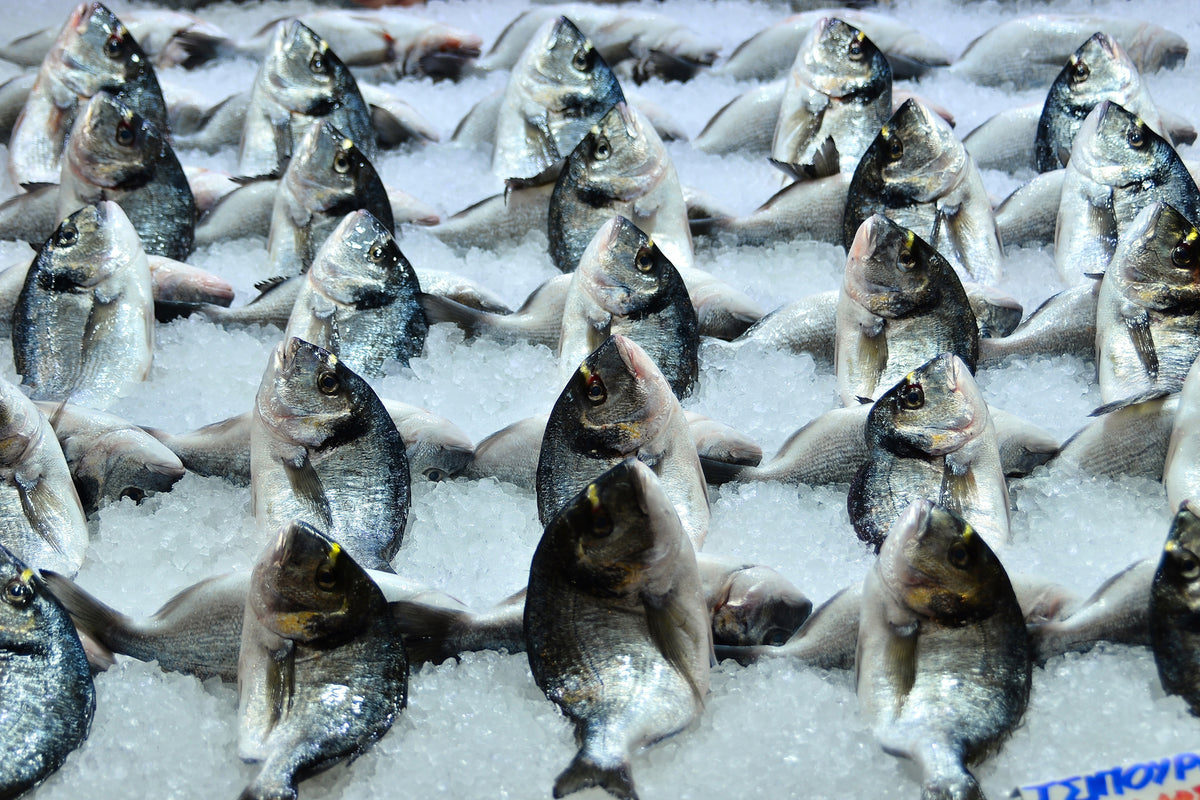 photo-wallpaper-at-the-fish-market