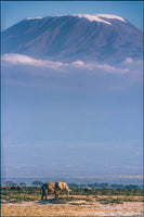 photo-wallpaper-kilimanjaro-and-the-quiet-sentinels