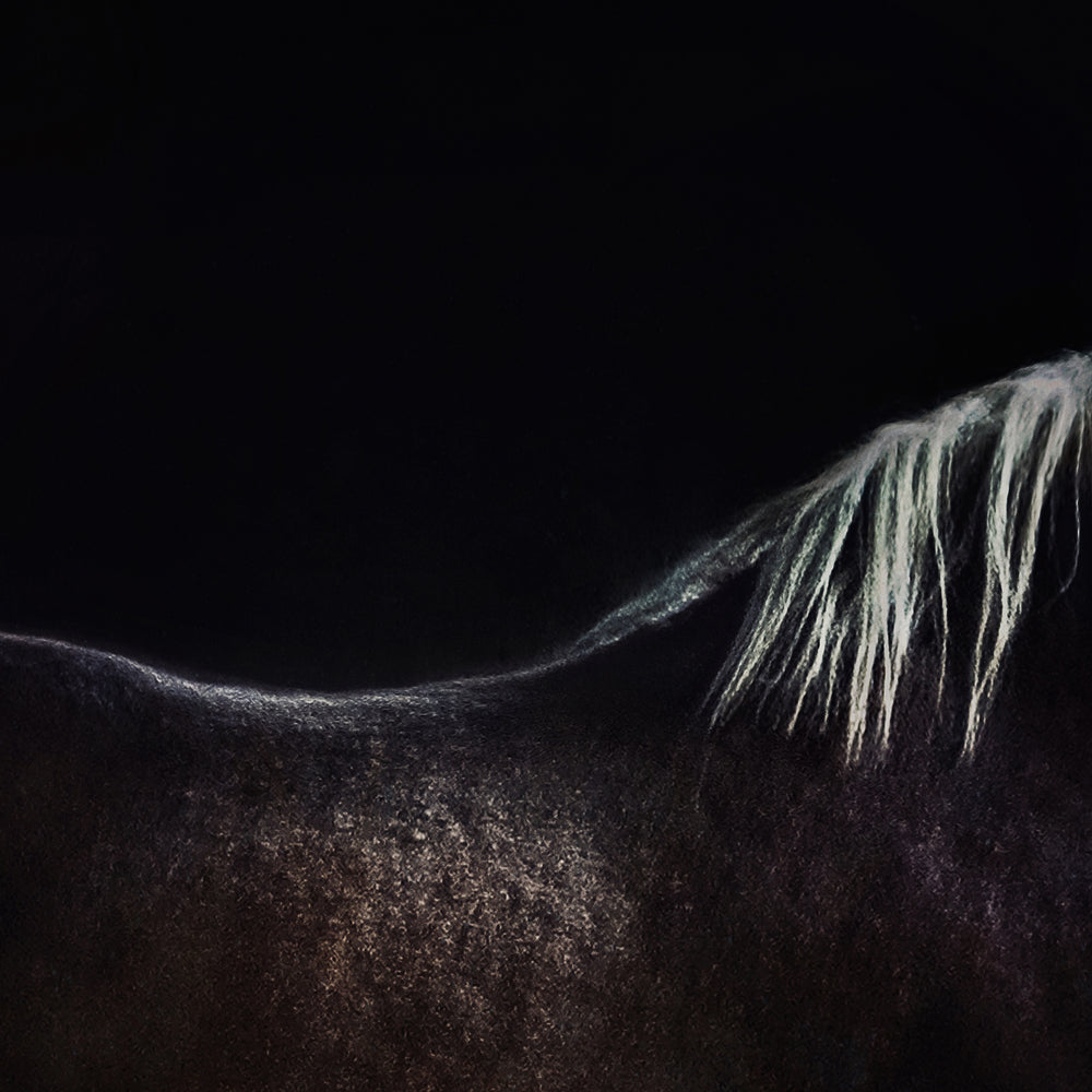 photo-wallpaper-the-naked-horse