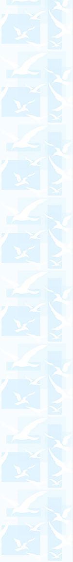 patterned-wallpaper-the-seagulls-flight-dream