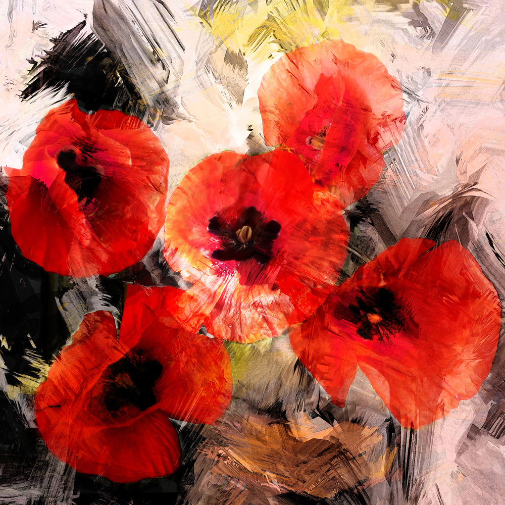 photo-wallpaper-poppy-portrayal