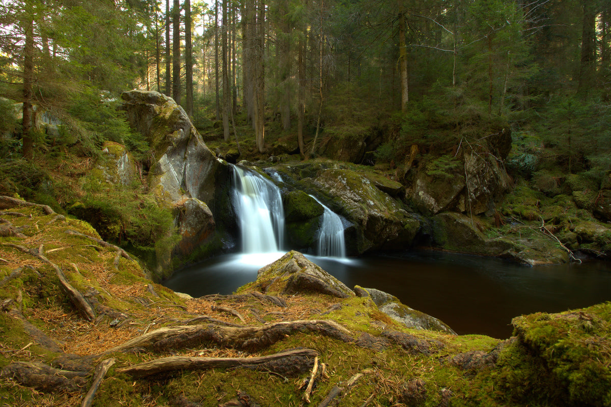 photo-wallpaper-small-waterfall-in-the-forest