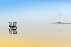 photo-wallpaper-two-chairs-and-a-tree