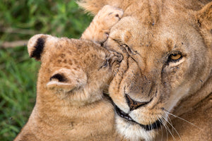 photo-wallpaper-mother-love