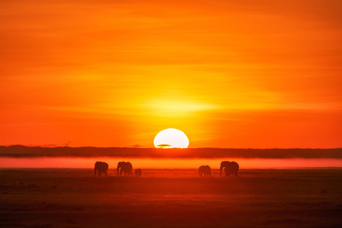 photo-wallpaper-africa-impression-x