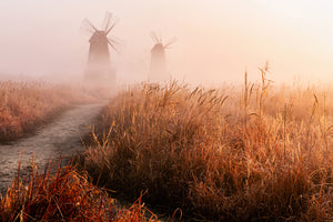 photo-wallpaper-morning-mist-x