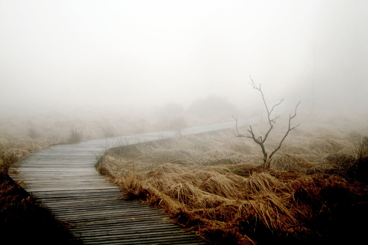 photo-wallpaper-dense-fog