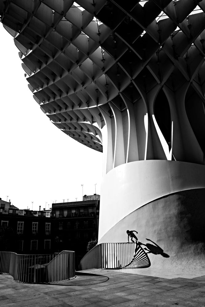 photo-wallpaper-climbing-over-parasol