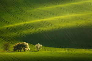 photo-wallpaper-moravian-waves-x