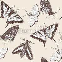 patterned-wallpaper-butterflies-and-moths