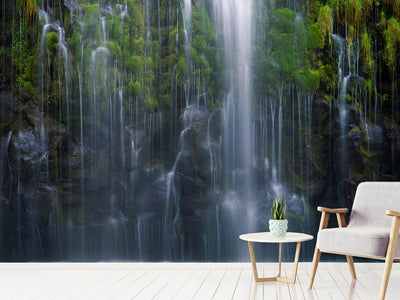 photo-wallpaper-magical-retreat