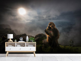 photo-wallpaper-gelada-baboons-x