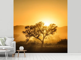 photo-wallpaper-golden-sunrise