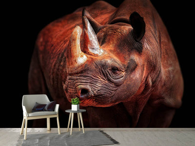 photo-wallpaper-rhino-posing-x