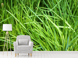 photo-wallpaper-fresh-chives-xl