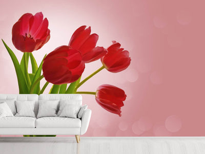 photo-wallpaper-red-tulips-bouquet