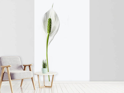 photo-wallpaper-the-peace-lily