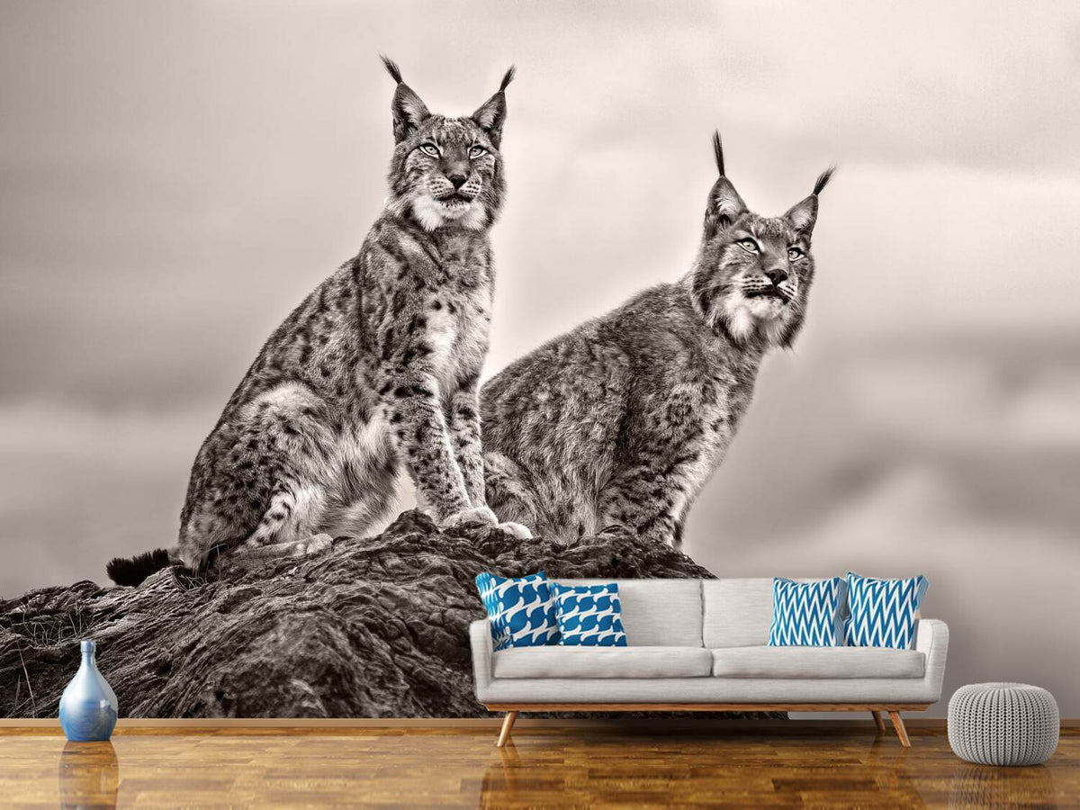 photo-wallpaper-two-lynx-on-rock