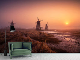 photo-wallpaper-foggy-morning-xji