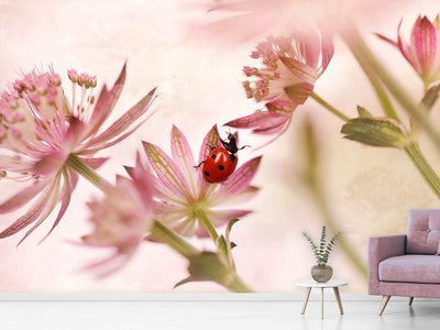 photo-wallpaper-ladybird-and-pink-flowers-x