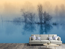 photo-wallpaper-morning-reflection-ii