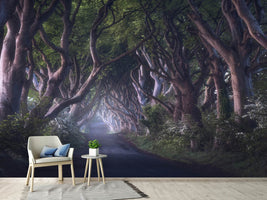 photo-wallpaper-the-dark-hedges