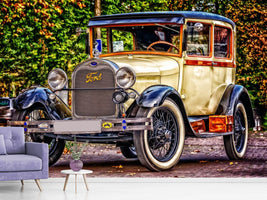 photo-wallpaper-well-kept-classic-car