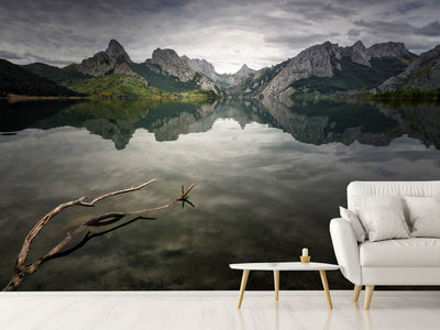 photo-wallpaper-reflection-v