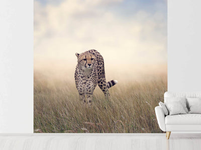 photo-wallpaper-the-cheetah