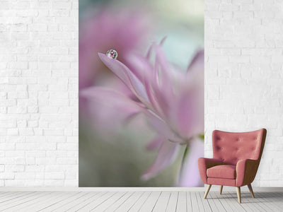 photo-wallpaper-in-pink-delight