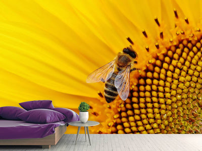 photo-wallpaper-bee-on-the-sunflower