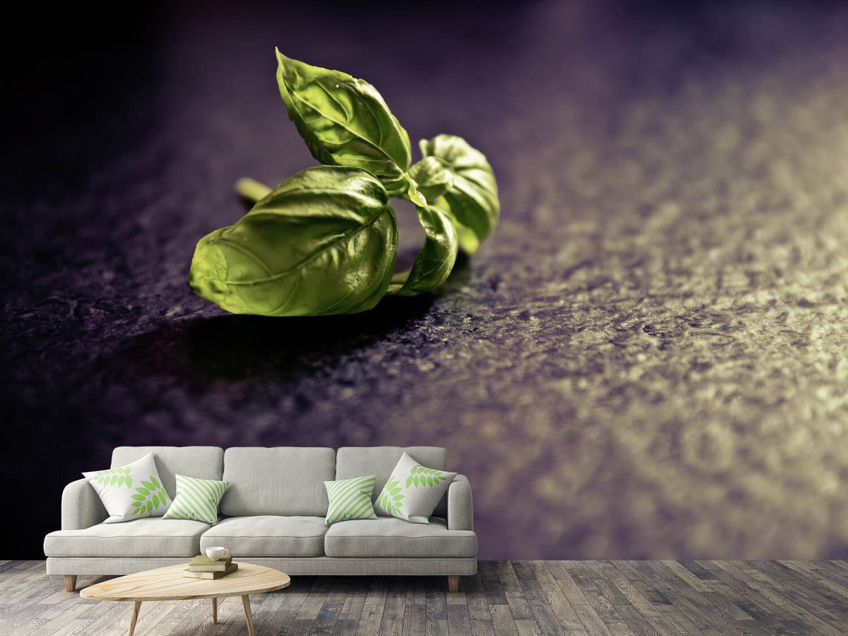 photo-wallpaper-basil-leaves