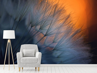 photo-wallpaper-feathers-p