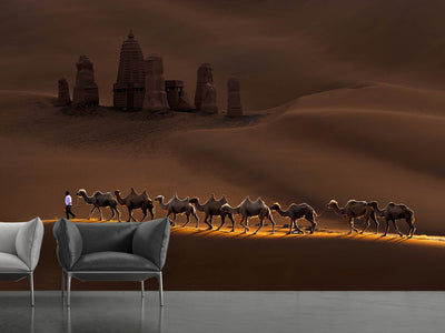 photo-wallpaper-castle-and-camels