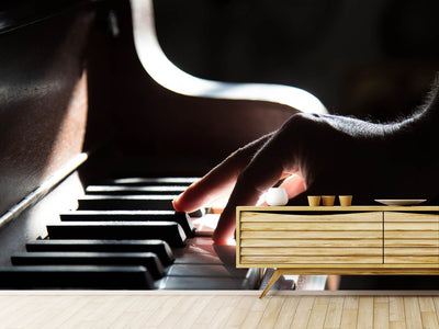 photo-wallpaper-piano-player