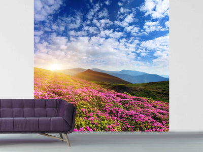 photo-wallpaper-flowery-mountain-landscape