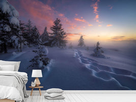 photo-wallpaper-winter-steps-x